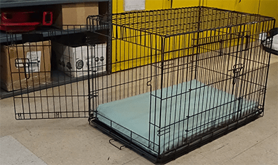 Leader Dog Bed