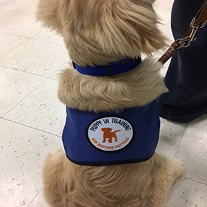 Leader Dog Jacket