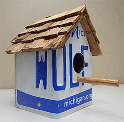 Birdhouse-3