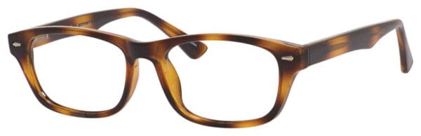 EN3956_shiny_tortoise-600x194