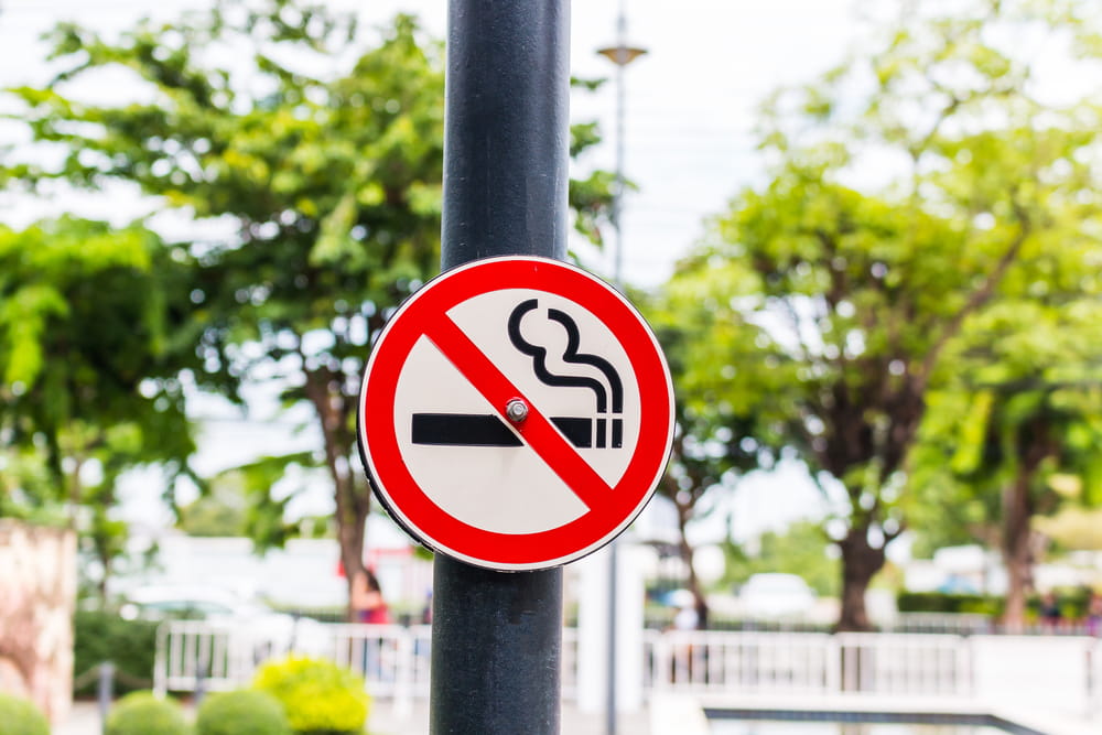 No Smoking Panel Pic
