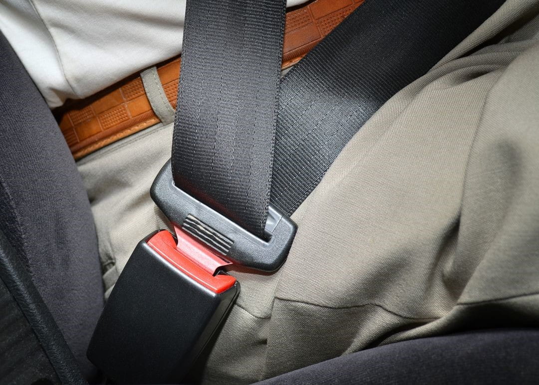 Buckle_Up