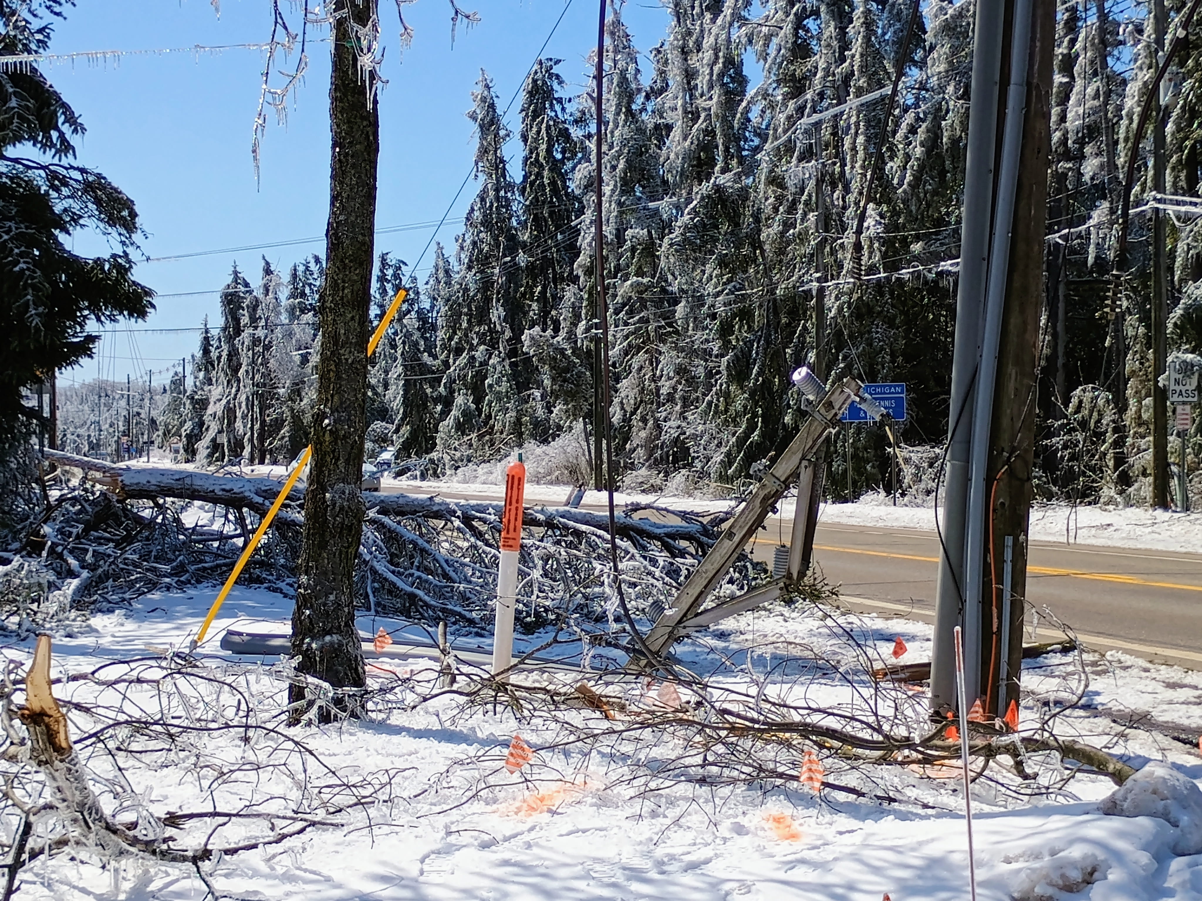 icy road and trees with down power lines and branches