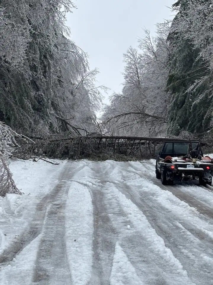 A tree fallen across a snowy, icy road.