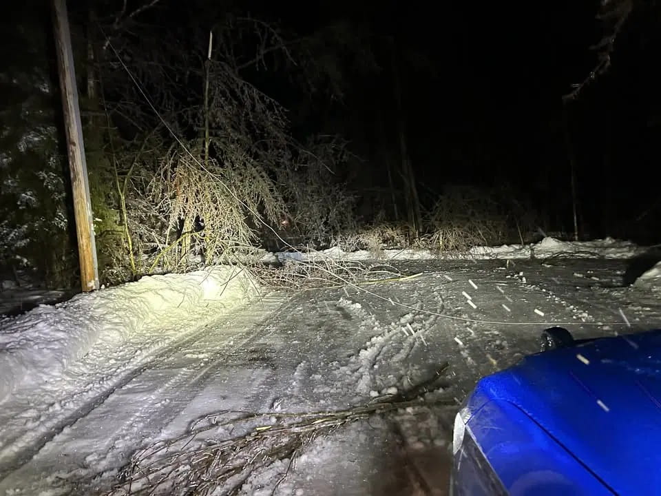 Fallen tree branches and powerlines illuminated by the headlights of a blue Michigan State Police car at night time. 