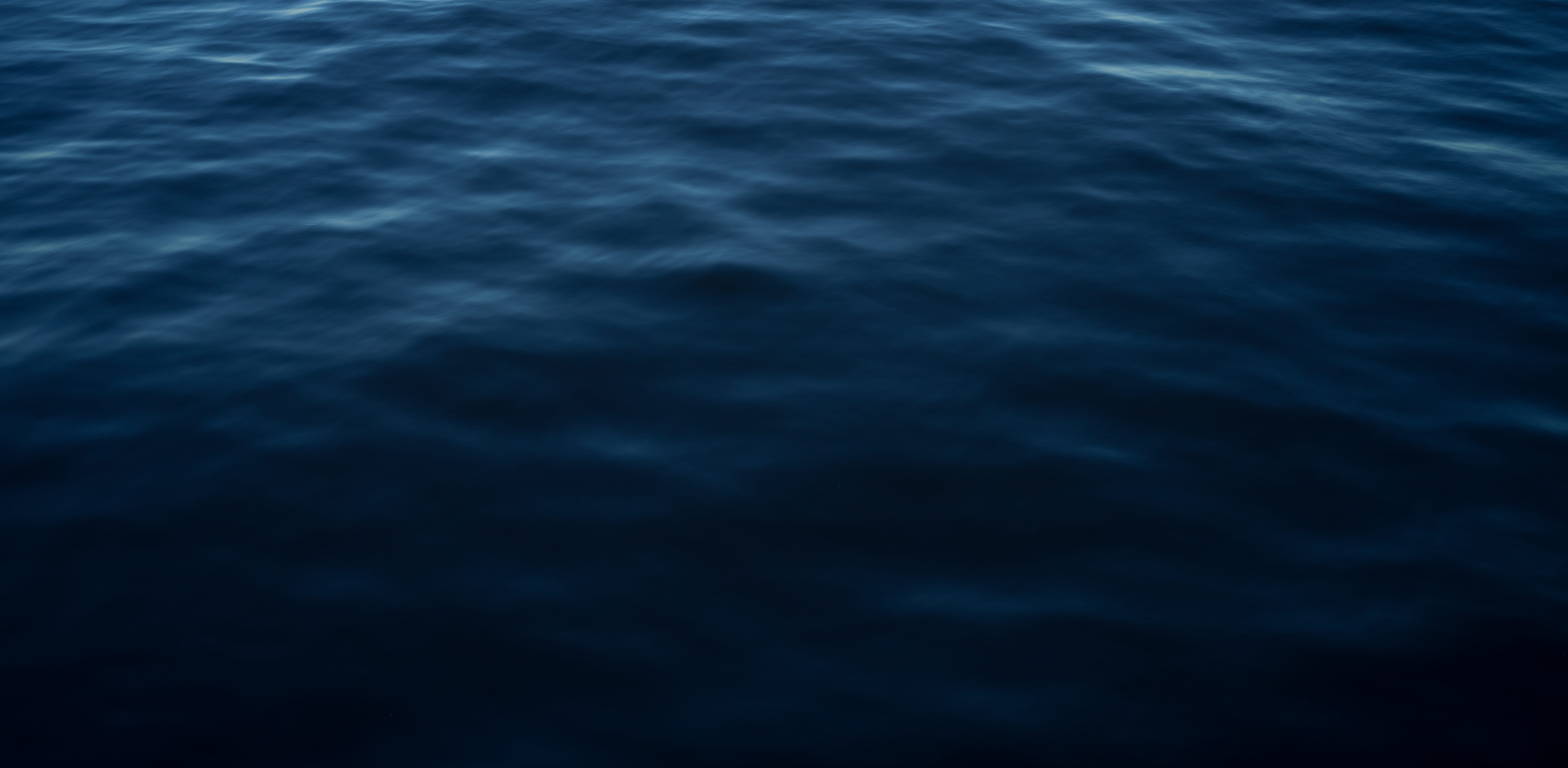 The surface of dark water.