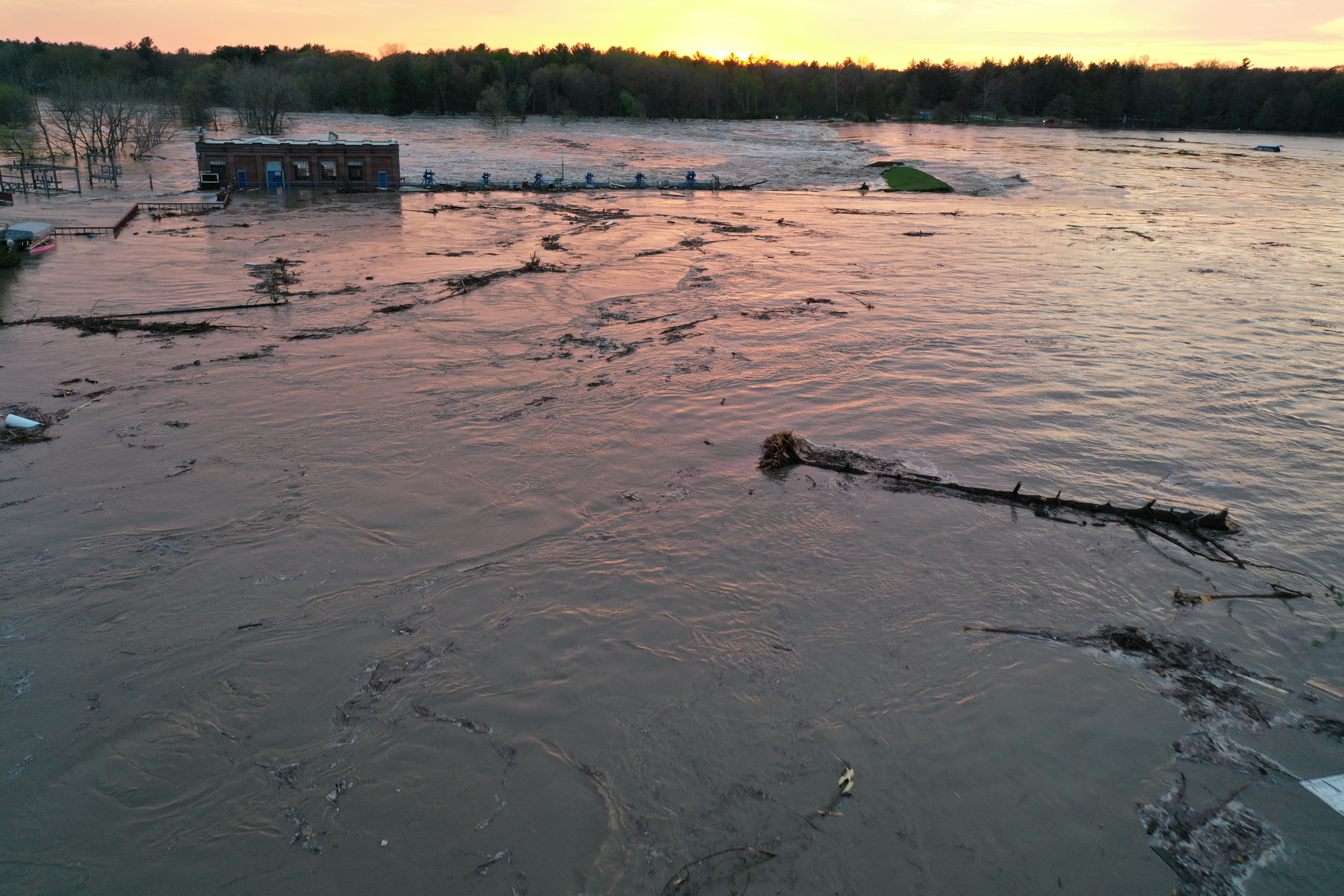 Flood water with debris and broken trees floating in it. 