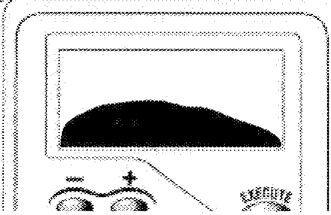 Graph showing breath flow as well as the numbers of liters when the subject blows into the mouthpiece the FC10. 