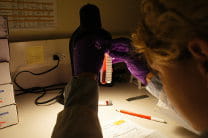 Blood Alcohol evidence examination