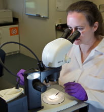 Visual examination of drug evidence