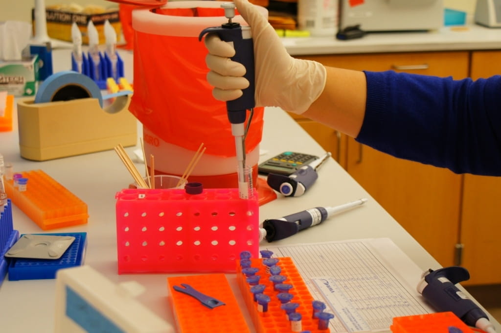 DNA Scientist Processing Samples