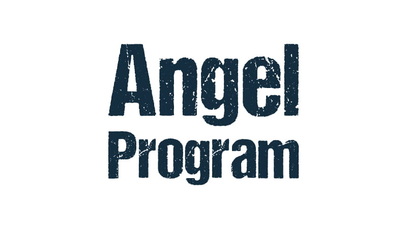 Dark blue text "Angel Program". 