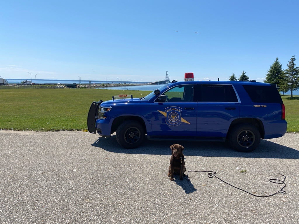 Cyber Dog in front of the MSP Patrol Vehicle, in front of the Mackinaw Bridge. 