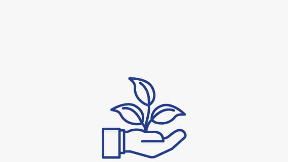 Hand with plant sprout. 