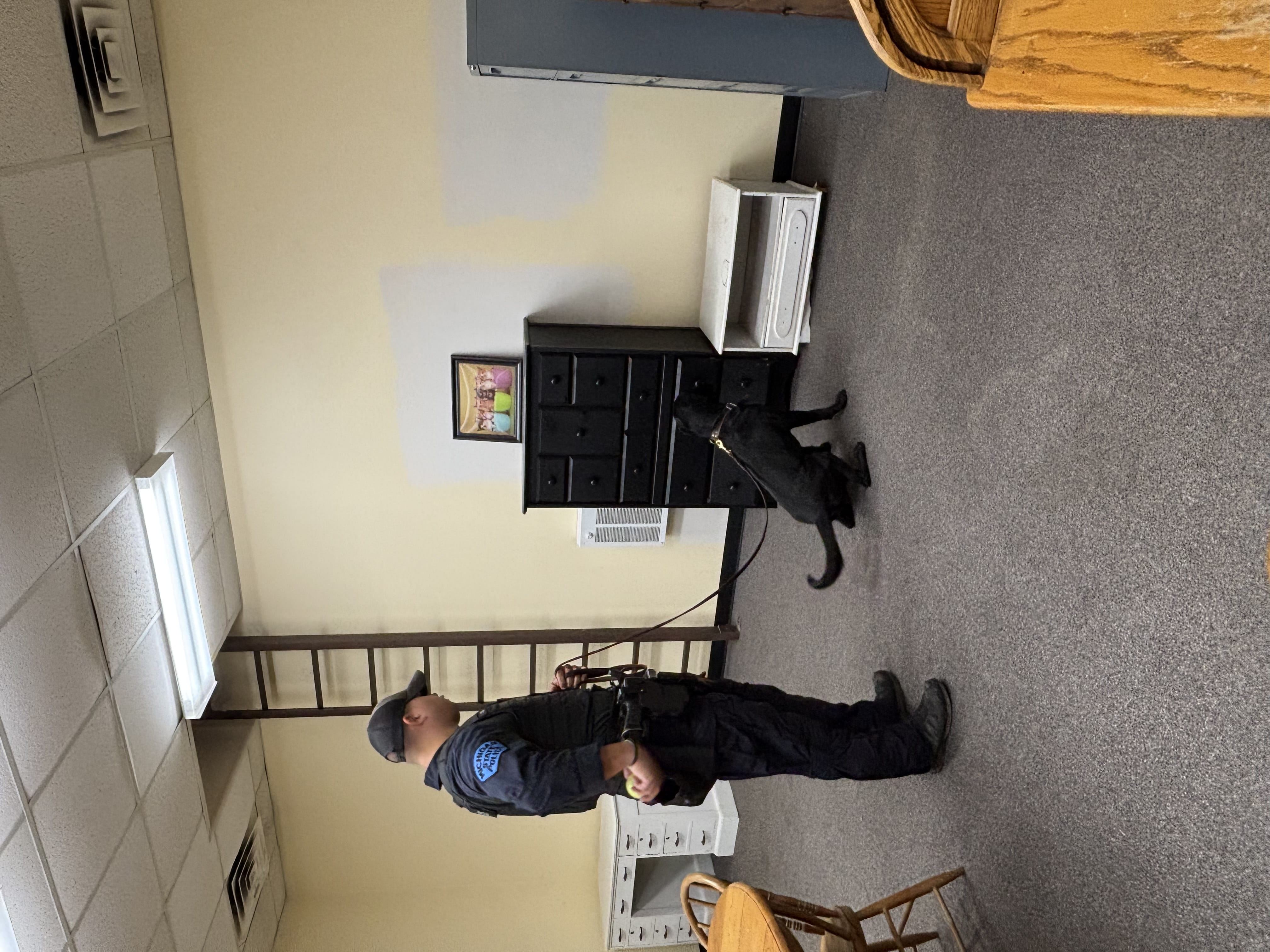 New detection dog Ted alerting his handler during training at MSP Canine Unit Kennels