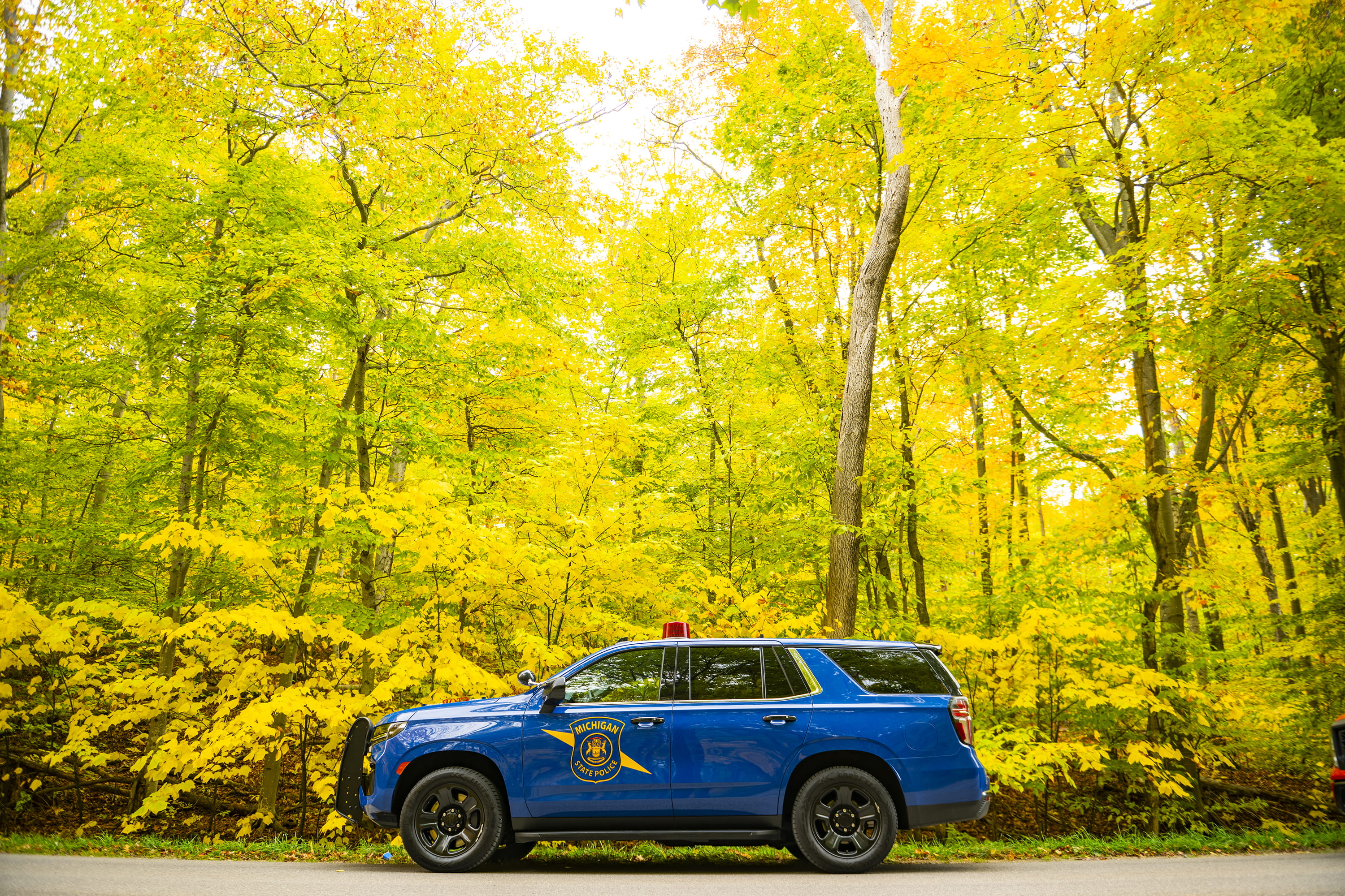 Michigan State Police patrol car parked in front of forest of bright green and yellow leaves.