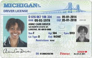 example driver license