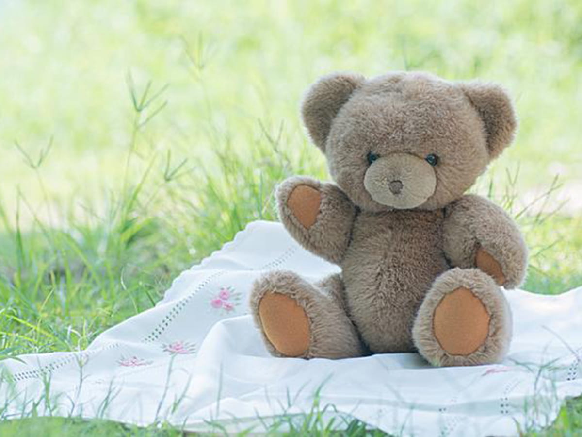 Outdoor Adventure Center - Teddy Bears' Picnic