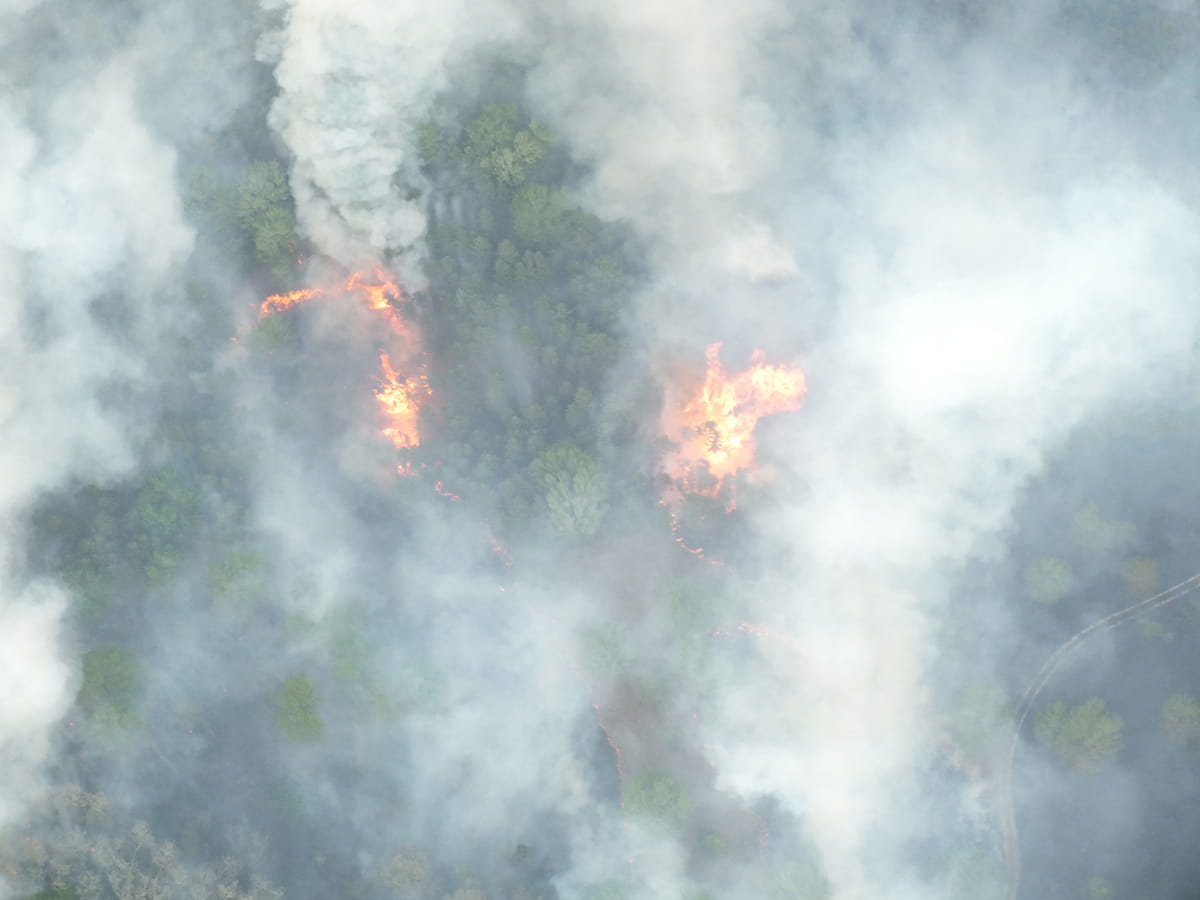 Outdoor Adventure Center - Senior Brunch: Wildland Fire History in Our Backyard