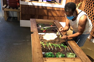 Woman looking at Outdoor Adventure Center garden exhibit