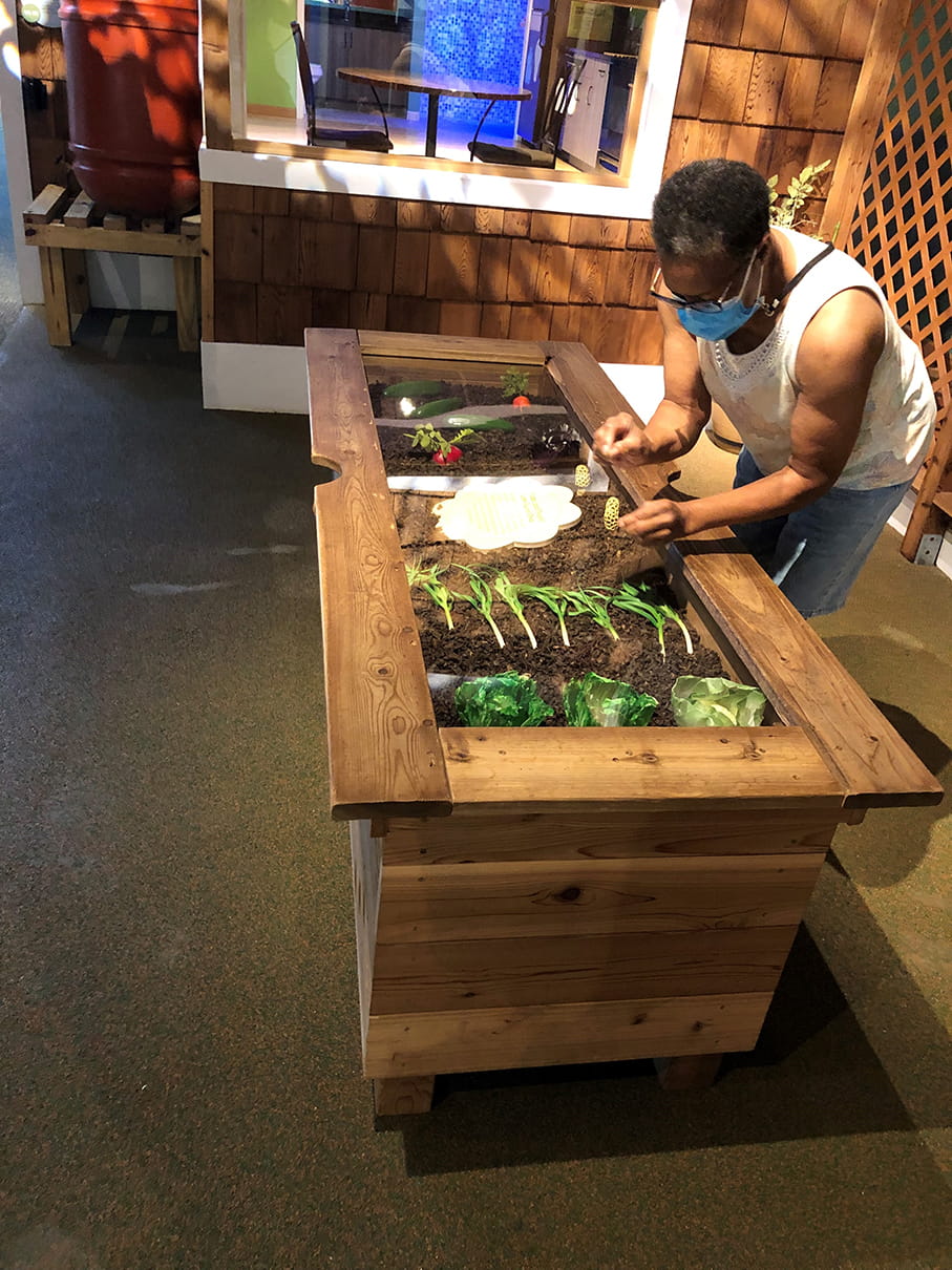 Woman looking at Outdoor Adventure Center garden exhibit