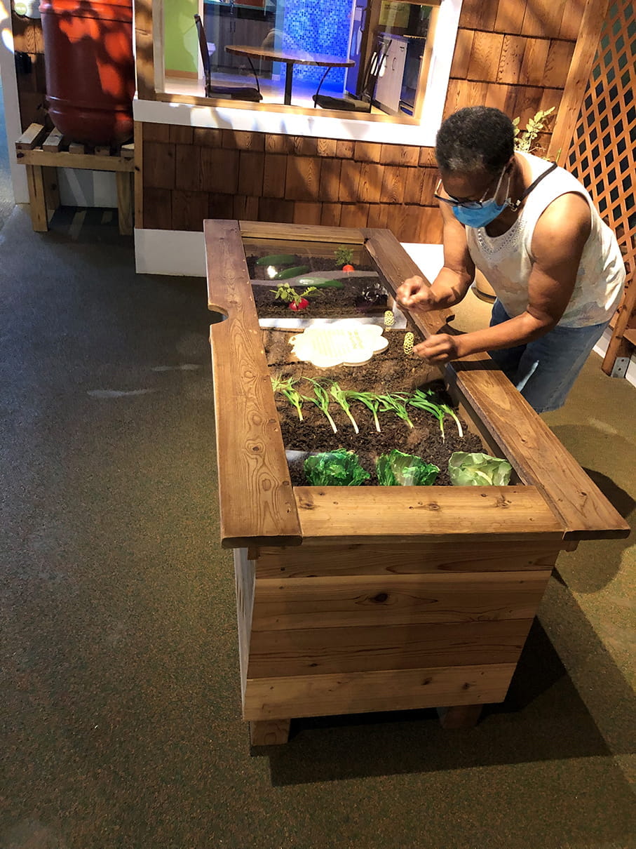Woman looking at Outdoor Adventure Center garden exhibit