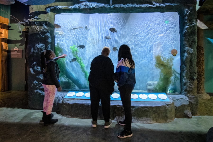 three ladies look at fish in OAC aquarium