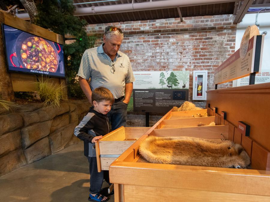 man and young boy look at animal furs