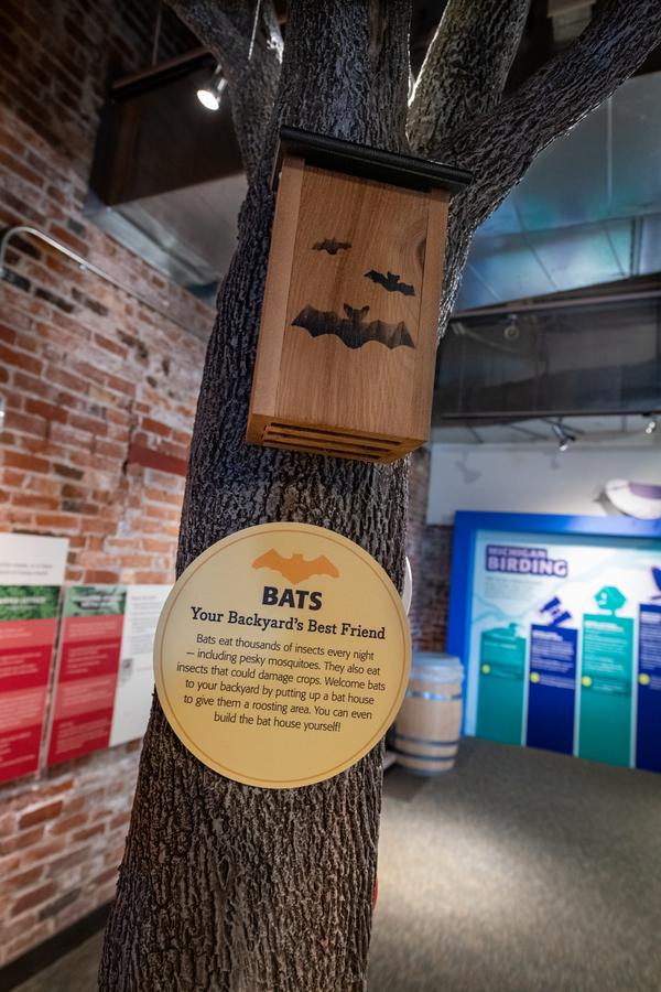 bat house and sign about bats on tree at OAC
