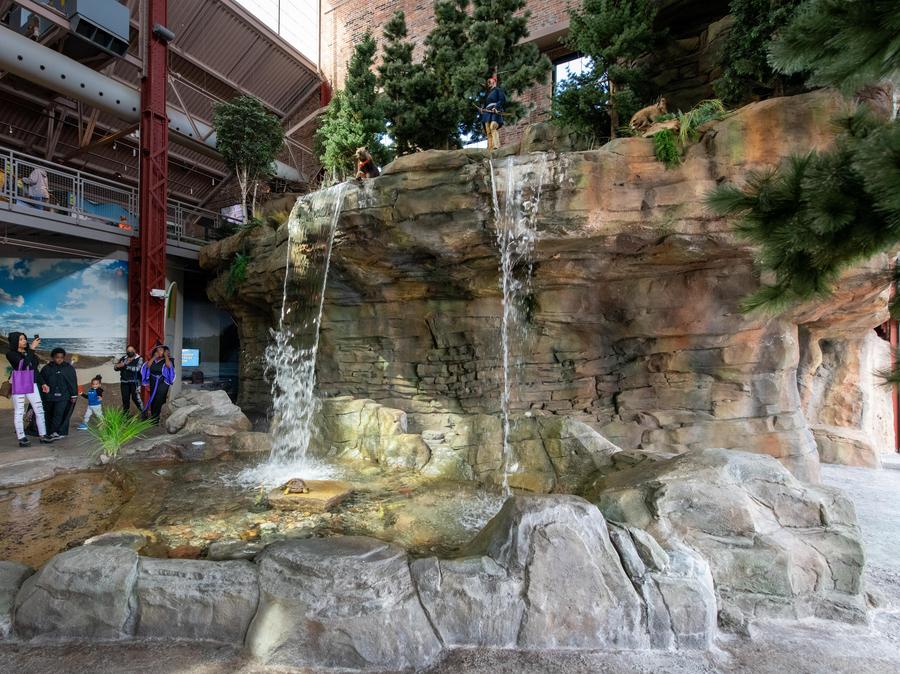 indoor waterfall at the OAC