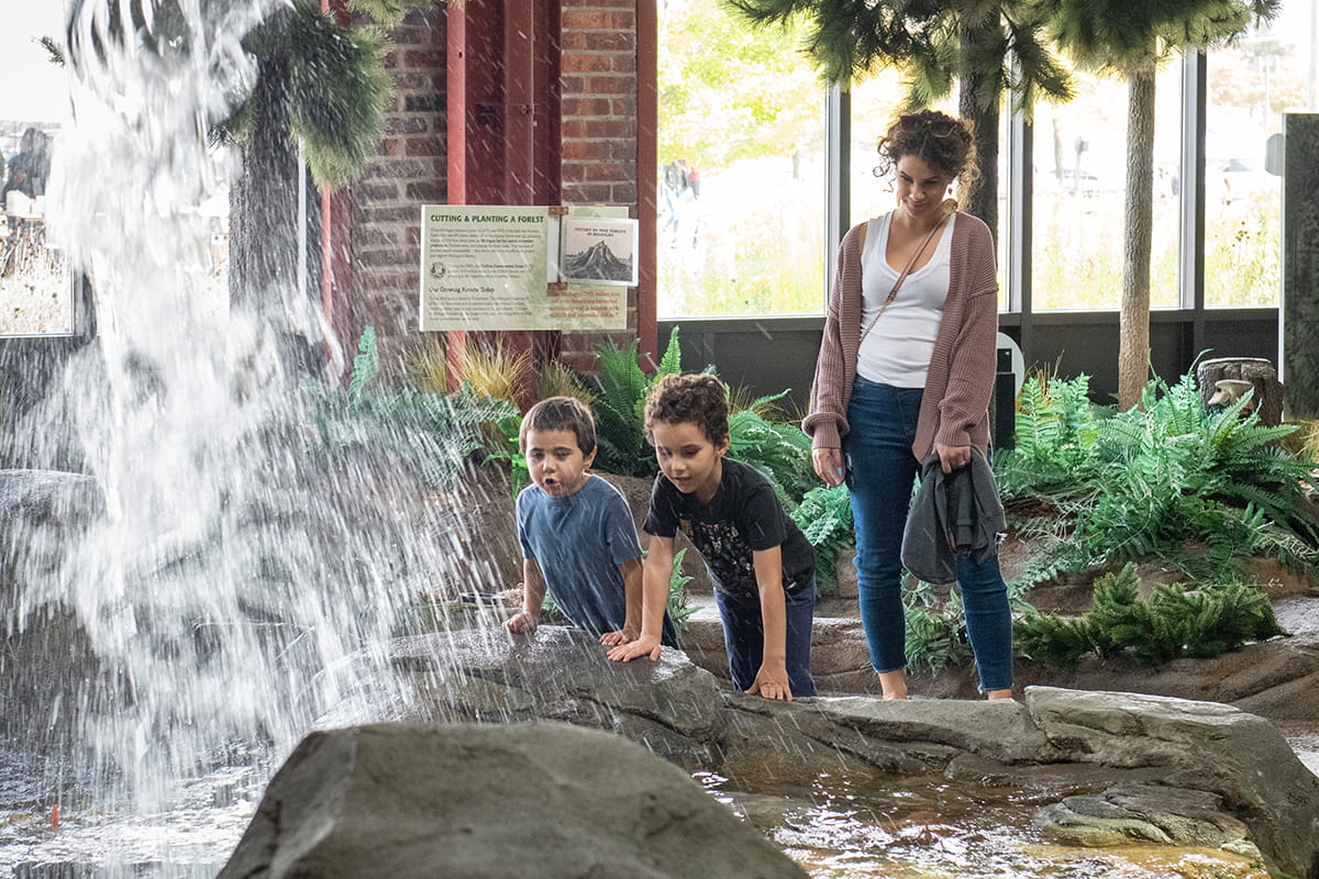 Sensory-Friendly Days — Education