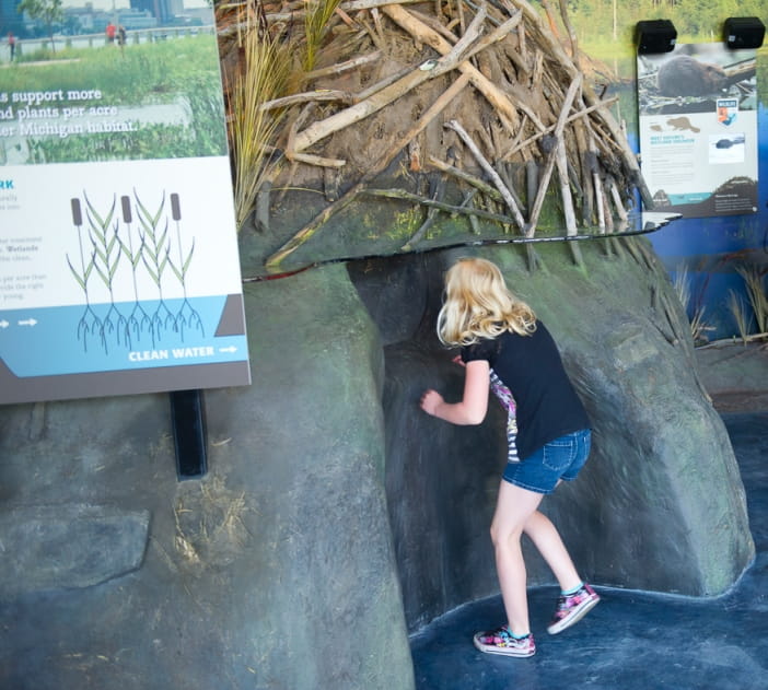 Girl looks inside the beaver lodge at the Outdoor Adventure Center