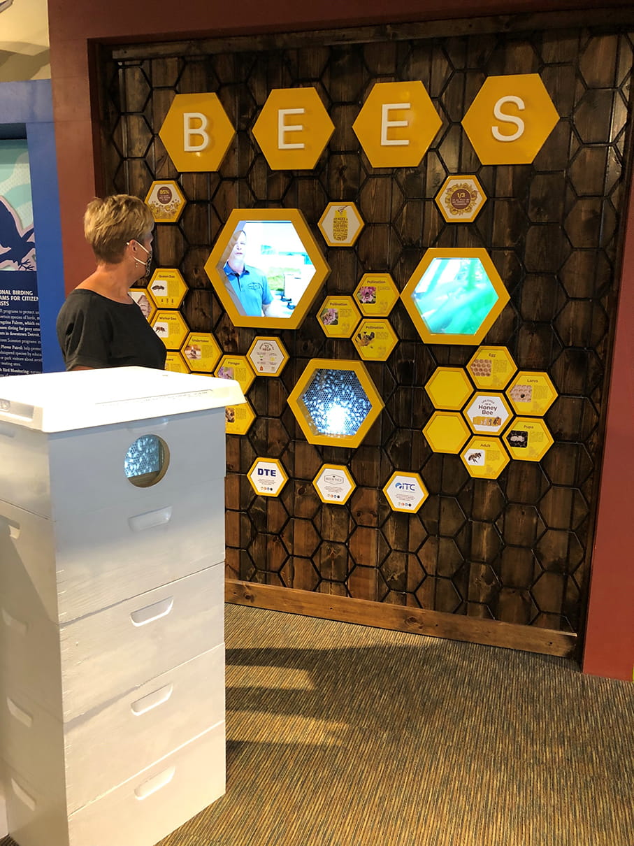 Exhibit about bees and beekeeping at Outdoor Adventure Center