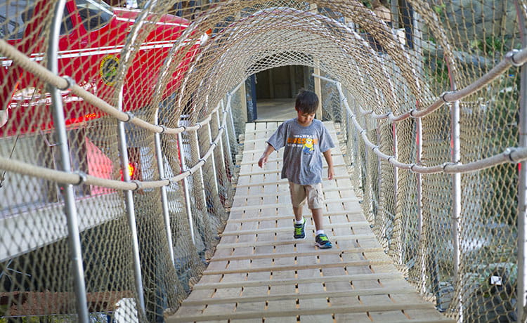 A boy walk on a suspension bridge at the OAC