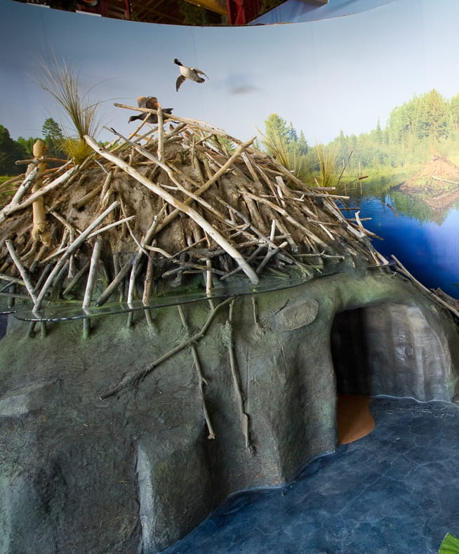 beaver lodge at the Outdoor Adventure Center