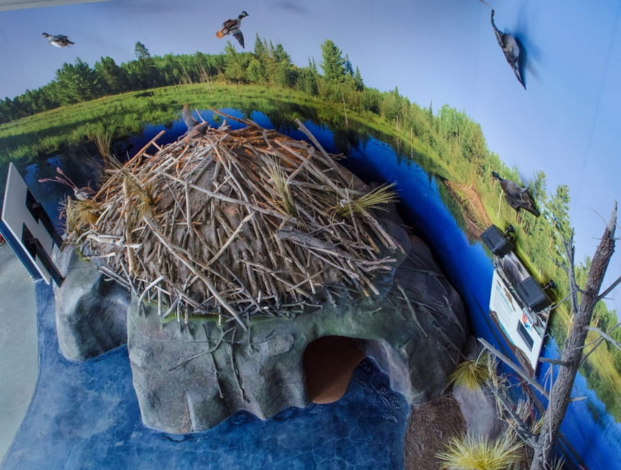 photo of beaver lodge at the Outdoor Adventure Center taken from above