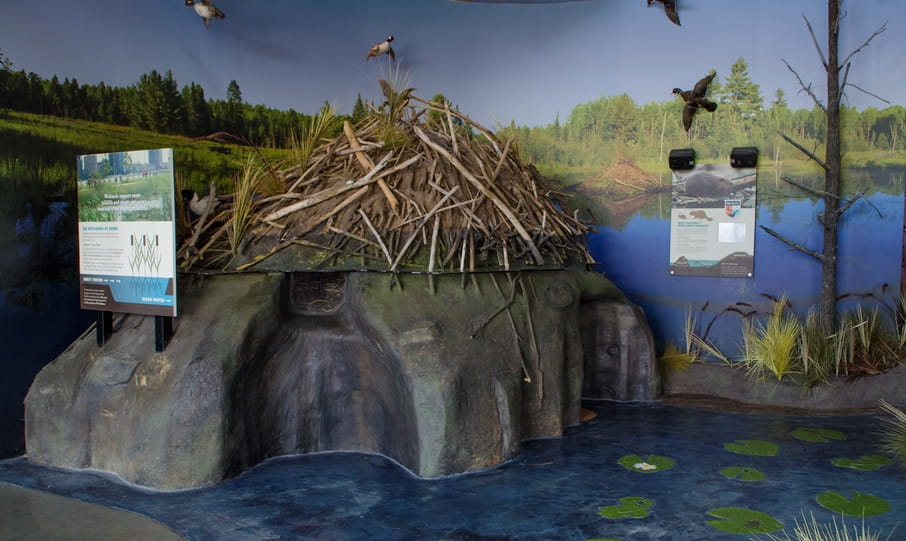 beaver lodge at the Outdoor Adventure Center with wetland scenery and signs