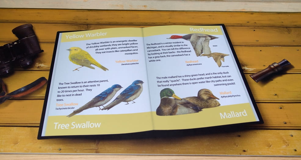 Open book about bird species, part of the Outdoor Adventure Center duck blind exhibit, closer view 1