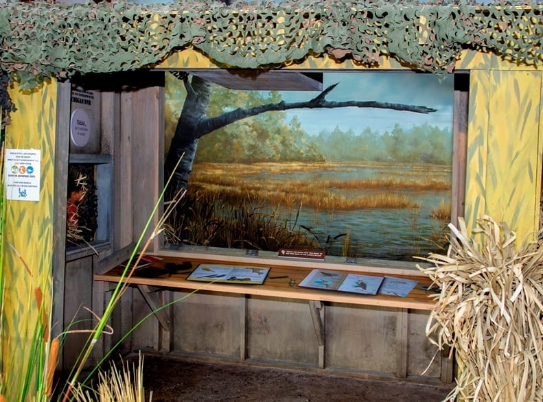 Outdoor Adventure Center duck blind exhibit, closer view 2