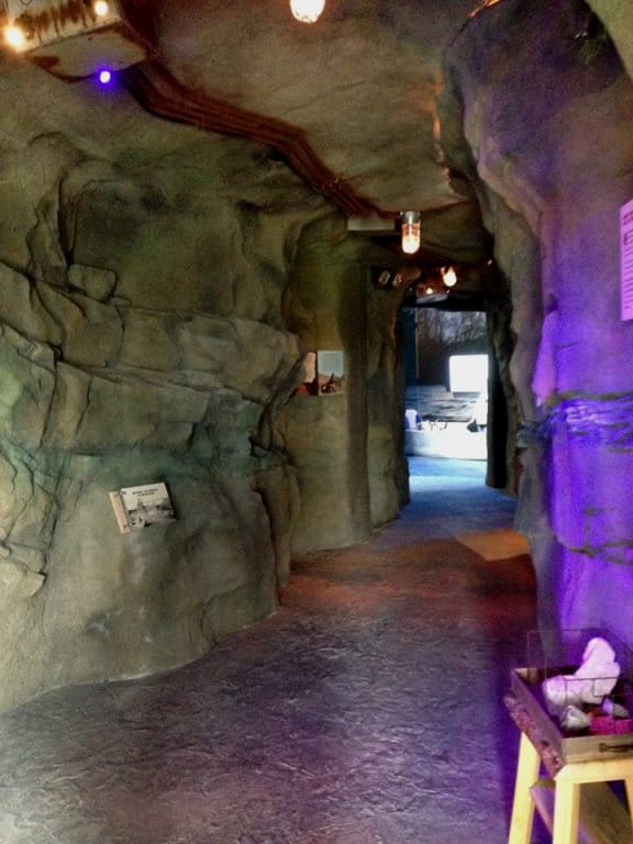 Outdoor Adventure Center mine exhibit