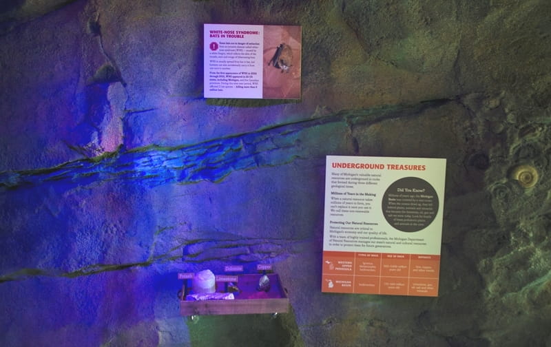wall of OAC mine exhibit with rocks on display and signage about bats and Michigan mining