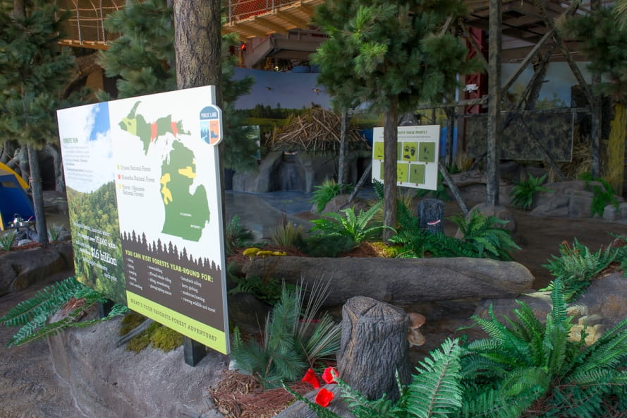 pine forest area of Outdoor Adventure Center, with trees, plants, signage about Michigan forests