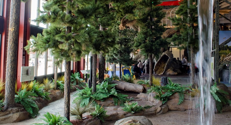 pine forest area of Outdoor Adventure Center with waterfall at the edge of photo