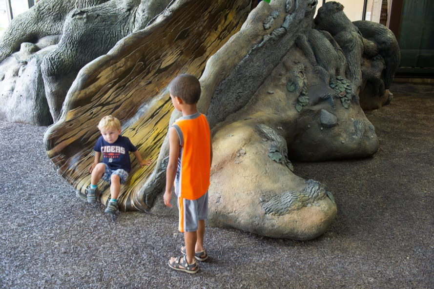 young boy slides on Outdoor Adventure Center Big Tree play structure while another boy looks on