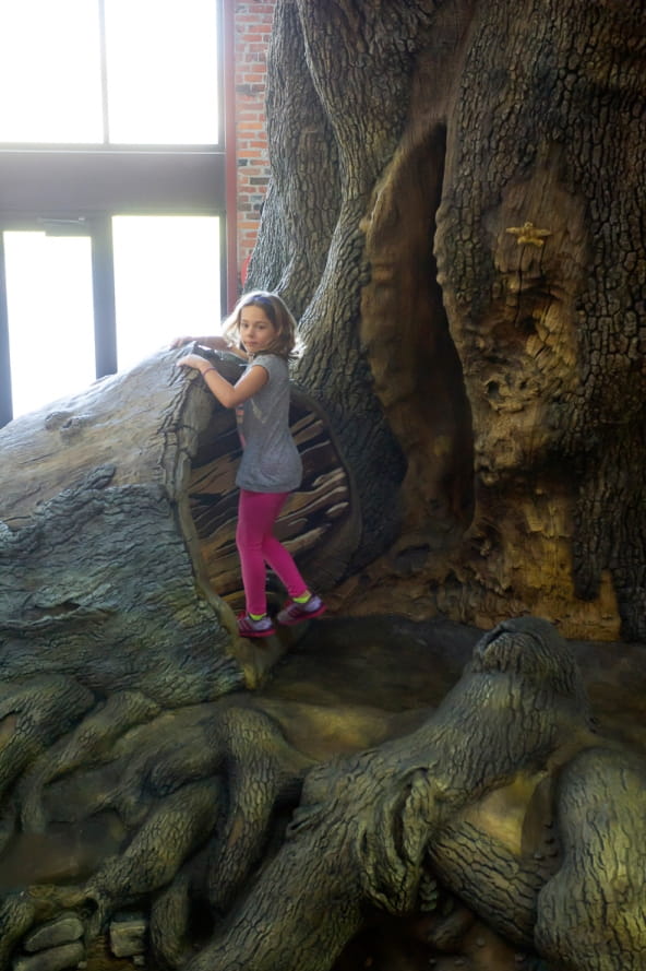 young girl stands at the top of slide on Outdoor Adventure Center Big Tree play structure