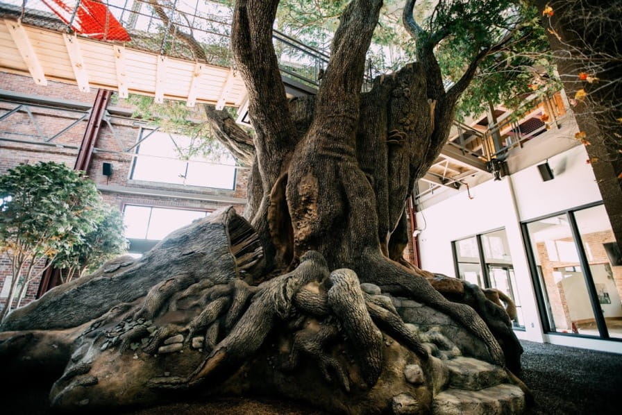 Big Tree play structure at Outdoor Adventure Center