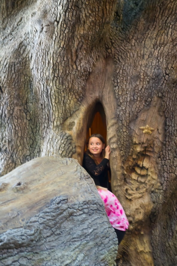 girl peeks out from hole in Outdoor Adventure Center Big Tree play structure