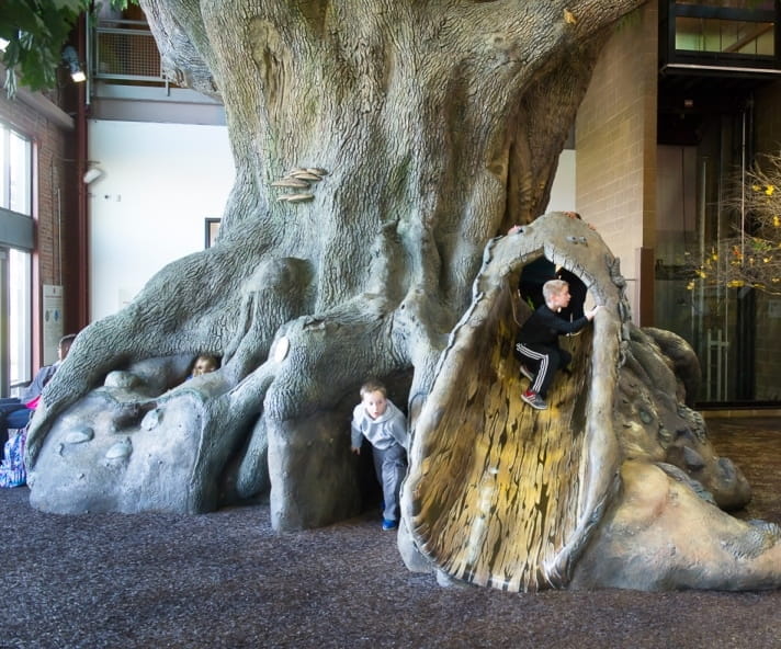 children playing on Big Tree play structure at Outdoor Adventure Center