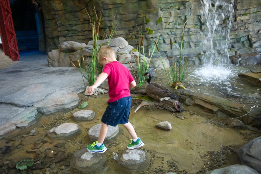 young boy crosses rocks in pond at bottom of Outdoor Adventure Center waterfall