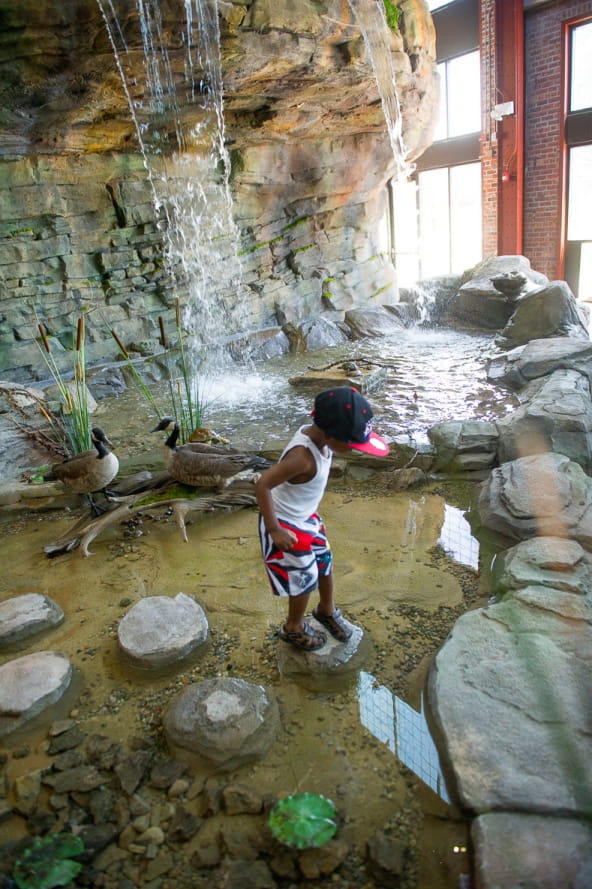 young boy crosses rocks in pond at bottom of Outdoor Adventure Center waterfall